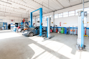 Tagliando Auto Ferrara